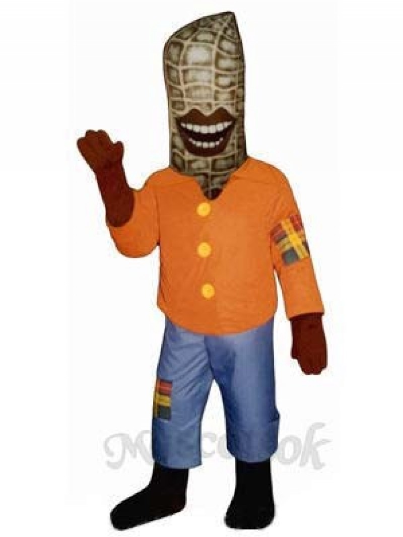 Peter Peanut Mascot Costume