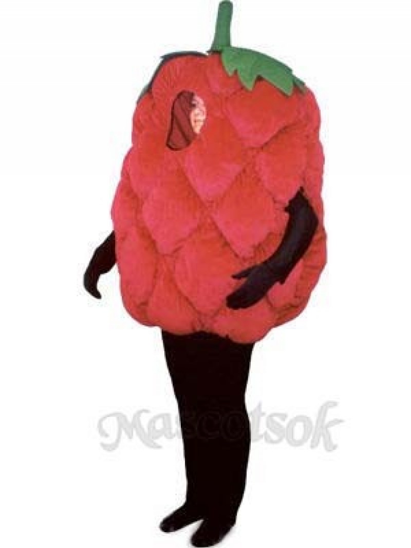 Fresh Raspberry Mascot Costume