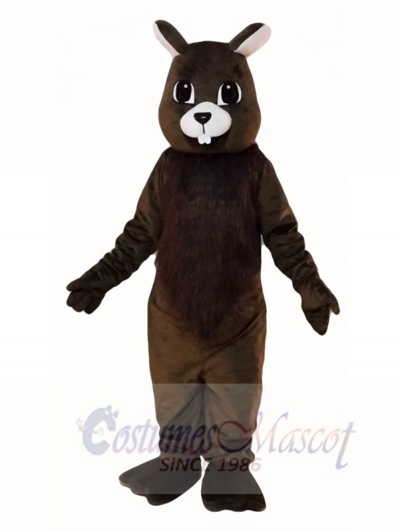 Brown Squirrel Mascot Costumes 