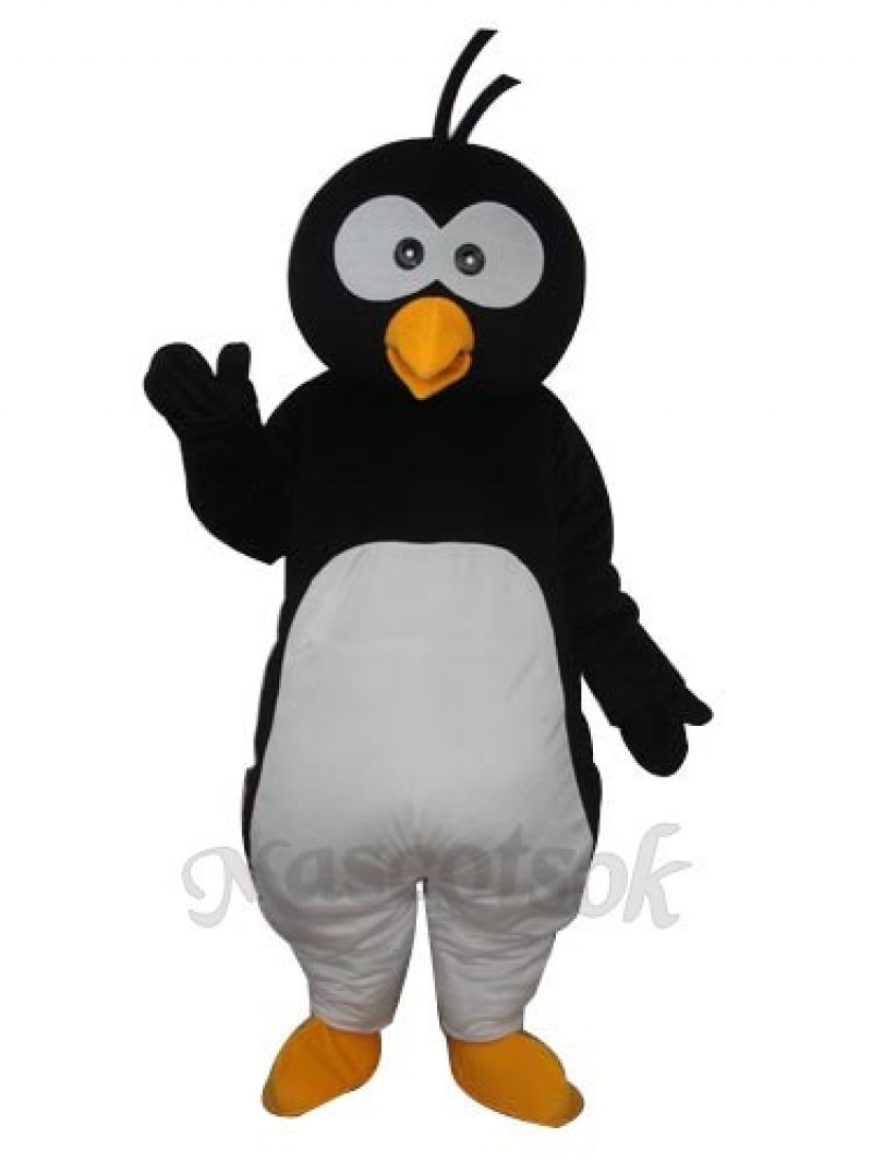 Round Head Penguin  Mascot  Adult  Costume