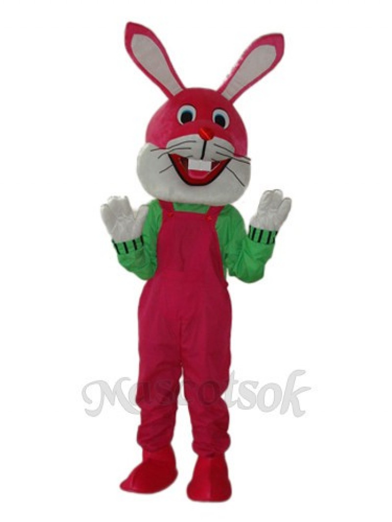Easter Etiquette Rabbit Mascot Adult Costume