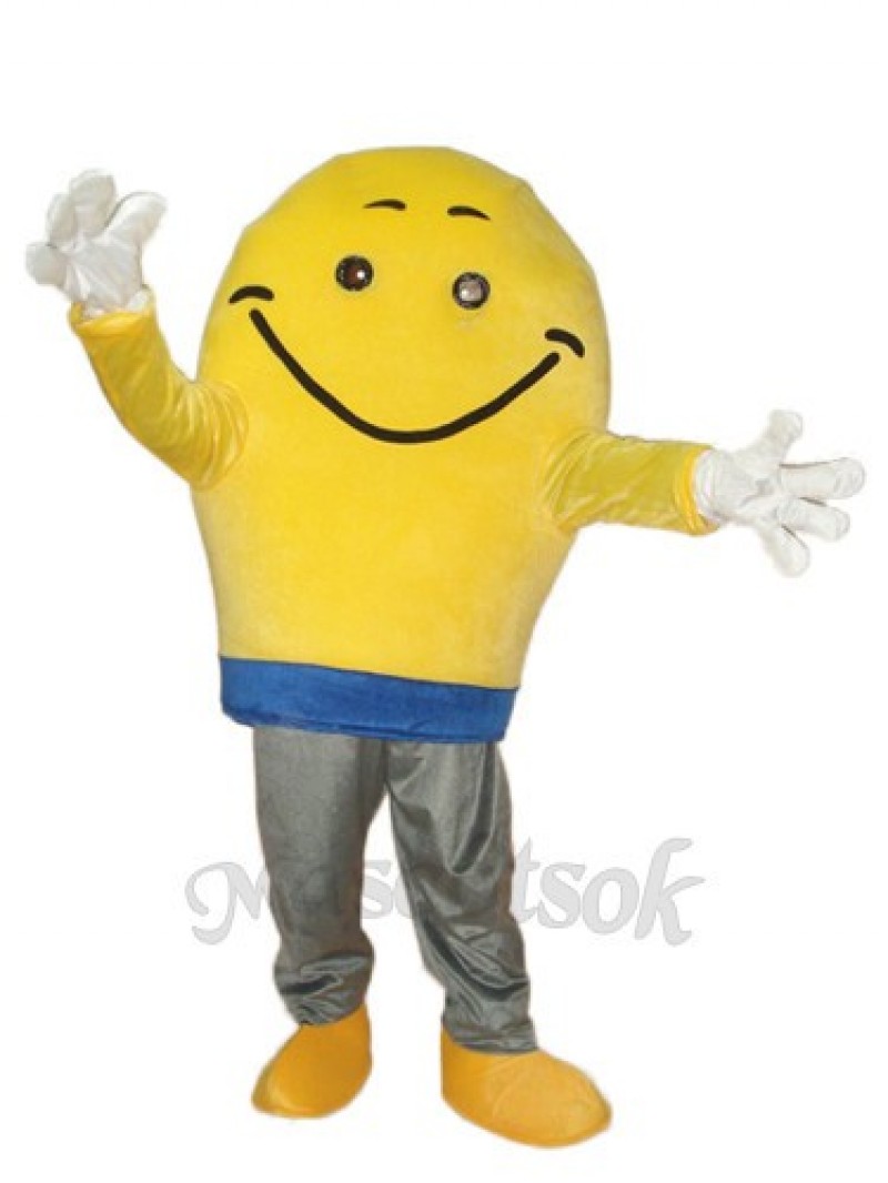 Light Bulb Mascot Adult Costume