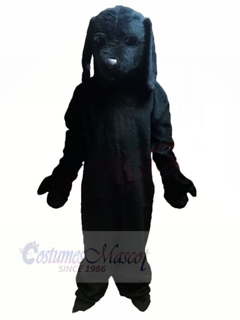 All Black Dog Mascot Costumes Animal
