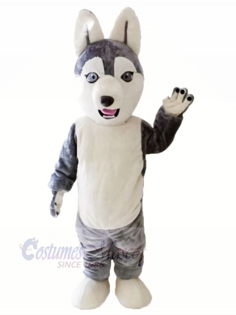 Cute Grey Siberian Husky Dog Mascot Costumes Animal