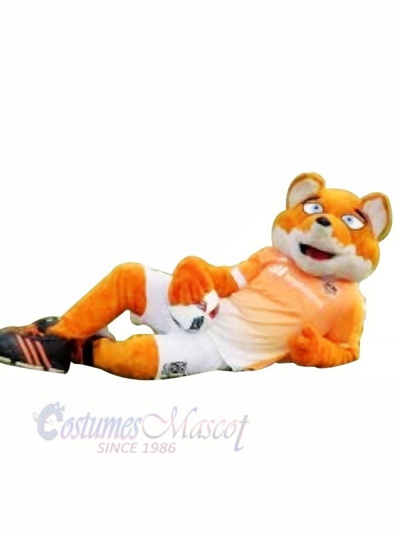 Soccer Bear Mascot Costumes Cartoon