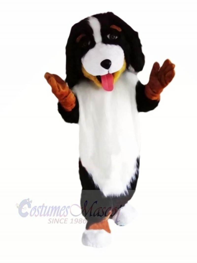 Cute Bernese Mountain Dog Mascot Costumes Animal