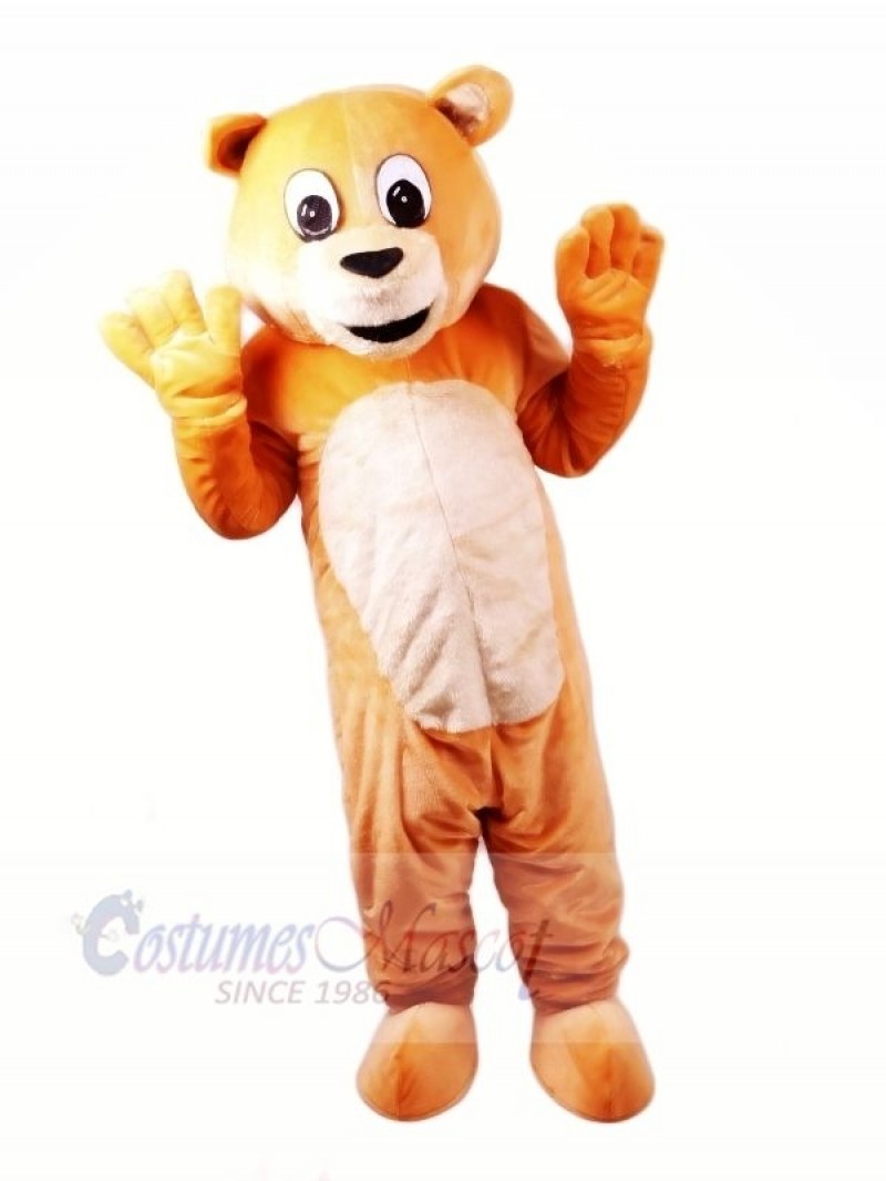 Honey Bear Mascot Costumes Cartoon
