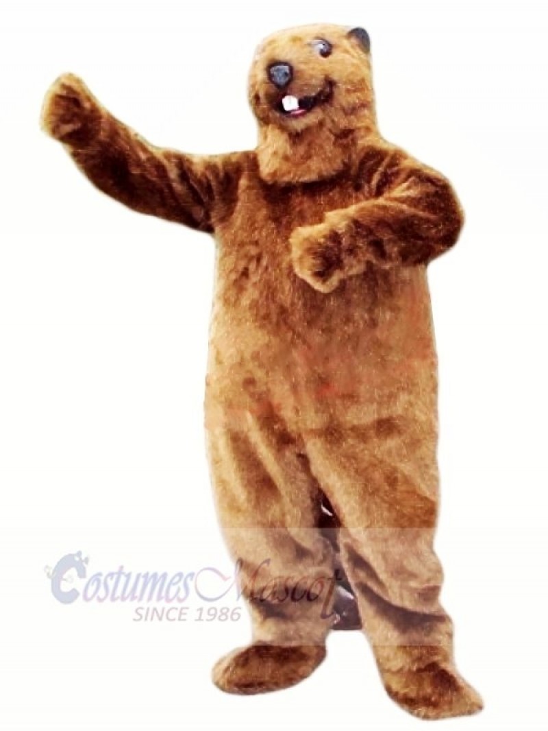 Best Quality Beaver Mascot Costumes Animal