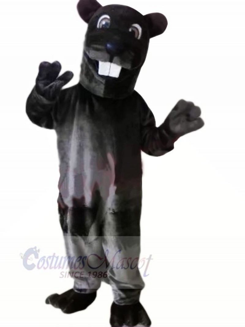 Black Leopard Mascot Costumes Animal