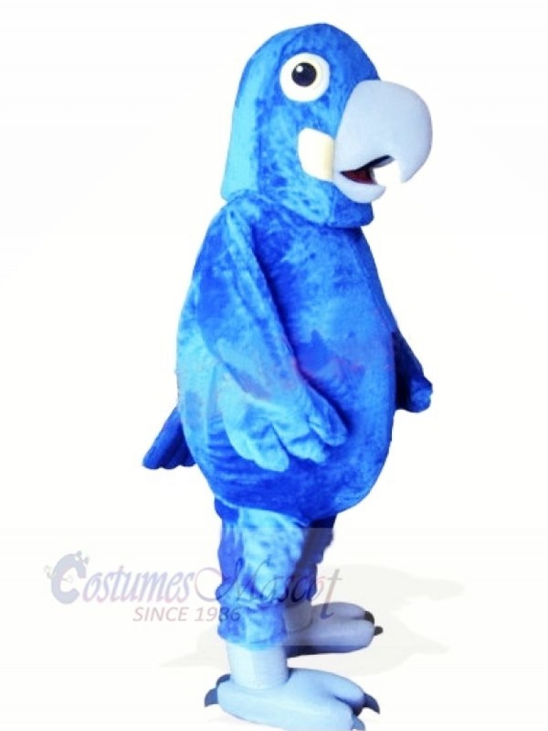 Cute Blue Parrot Mascot Costumes Animal