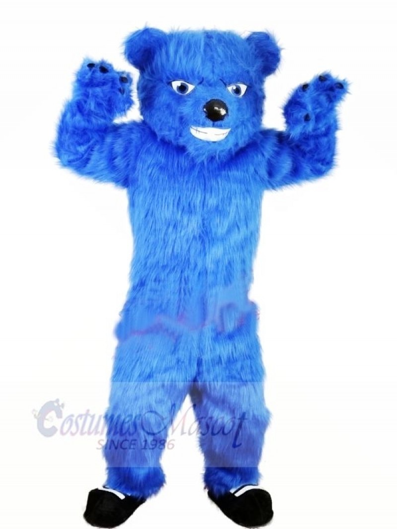 Bear Mascot Costume