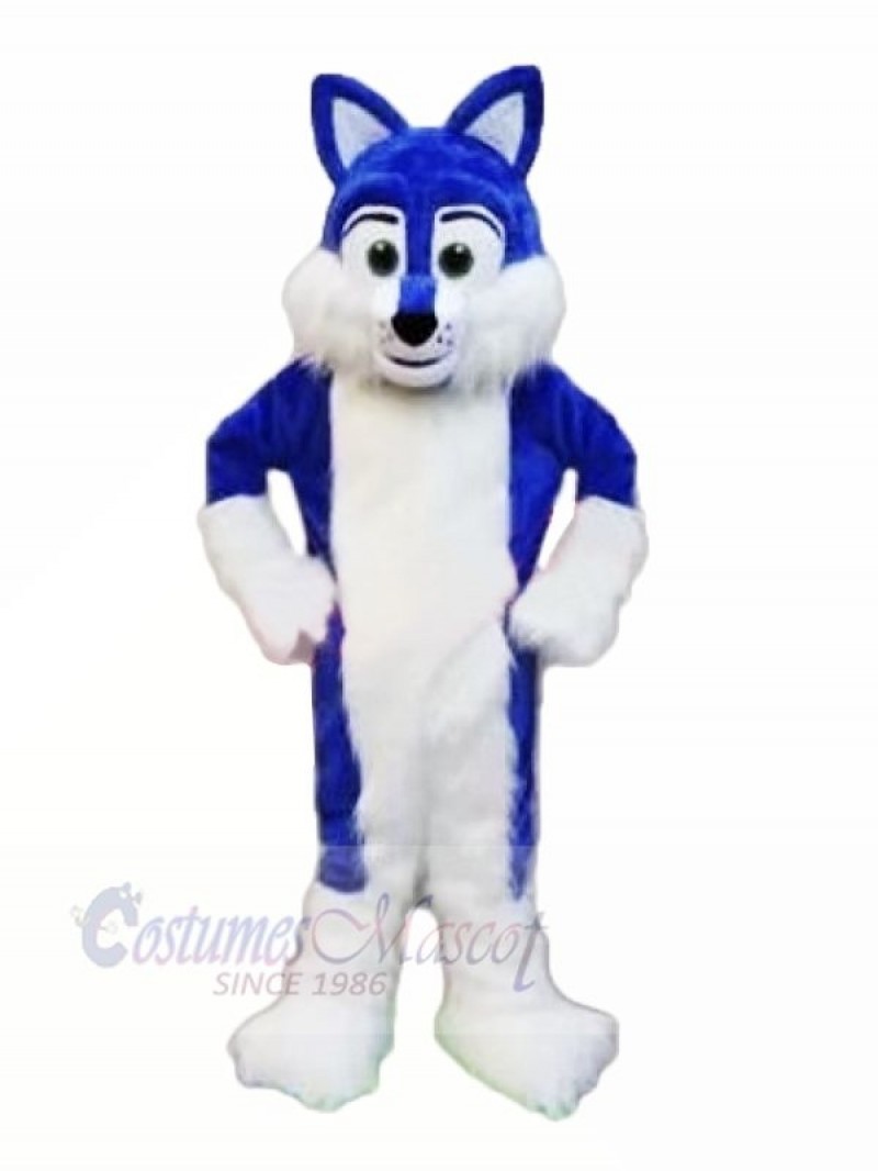 Blue Furry Husky Mascot Costumes Animal