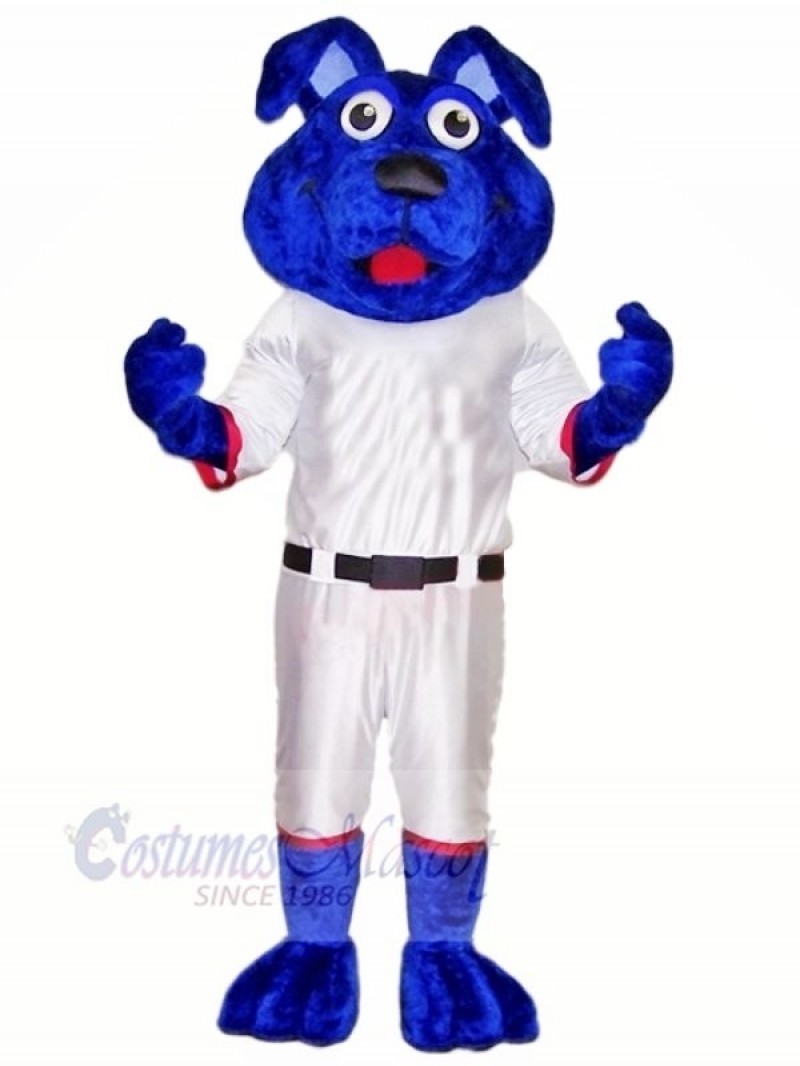 Blue Dog with White Suit Mascot Costumes Animal	