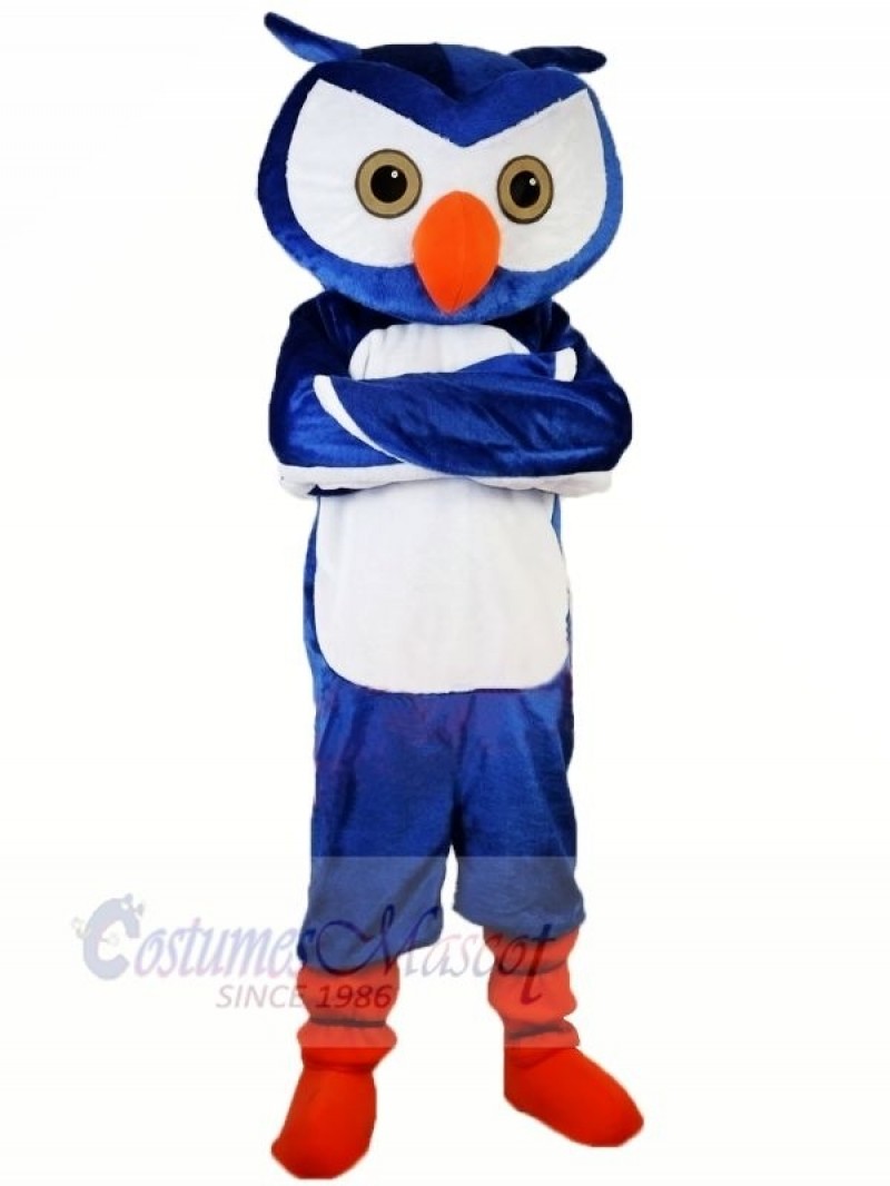Blue Owl with Orange shoes Mascot Costumes Animal
