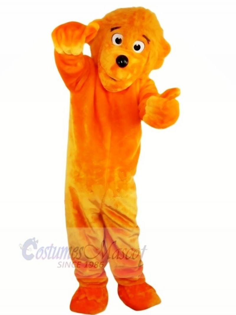 Funny Lion Mascot Costumes 