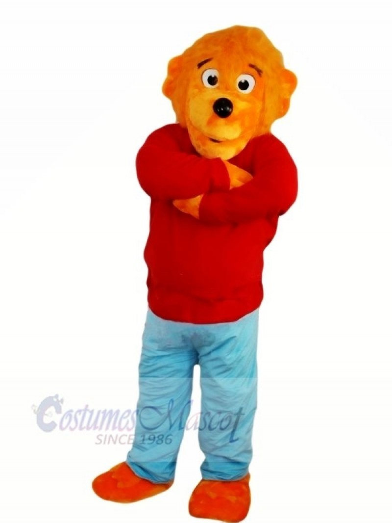 Funny Lion with Red Sweater Mascot Costumes Animal