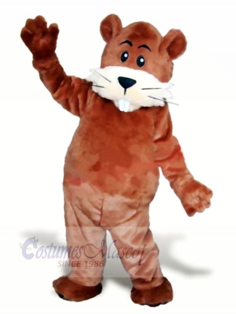 Cute Brown Beaver Mascot Costumes Animal