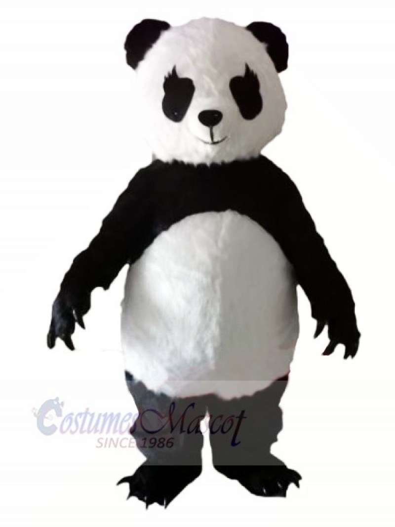 Panda with Long Eyelashes Mascot Costumes Animal