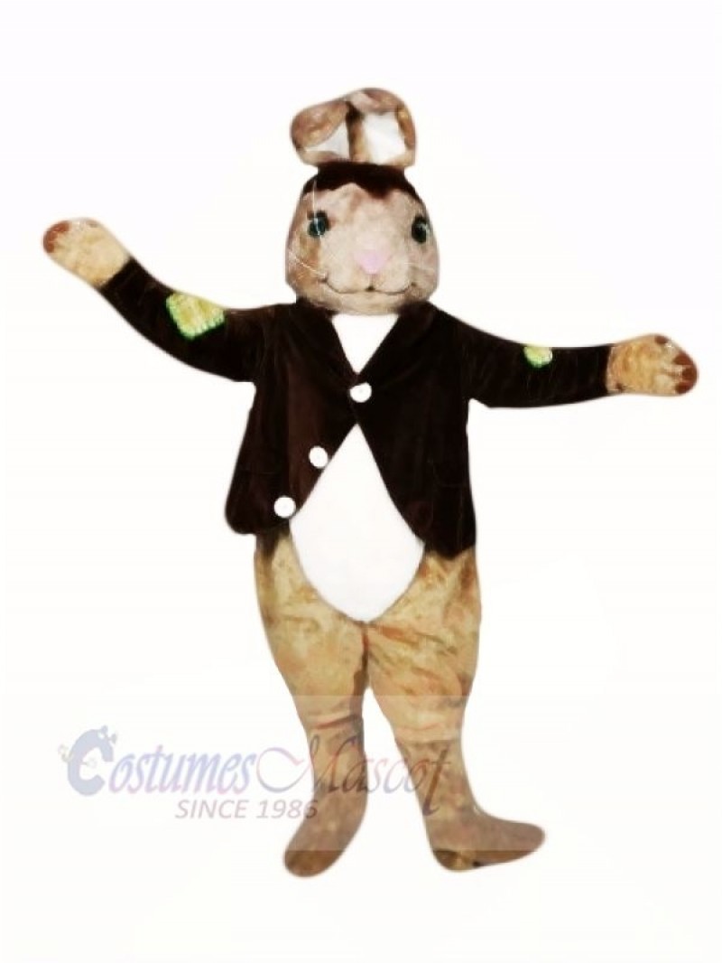 Brown Easter Bunny Mascot Costumes Animal