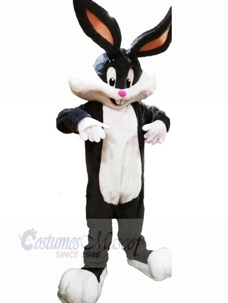 Cute Bunny with Long Ears Mascot Costumes Animal