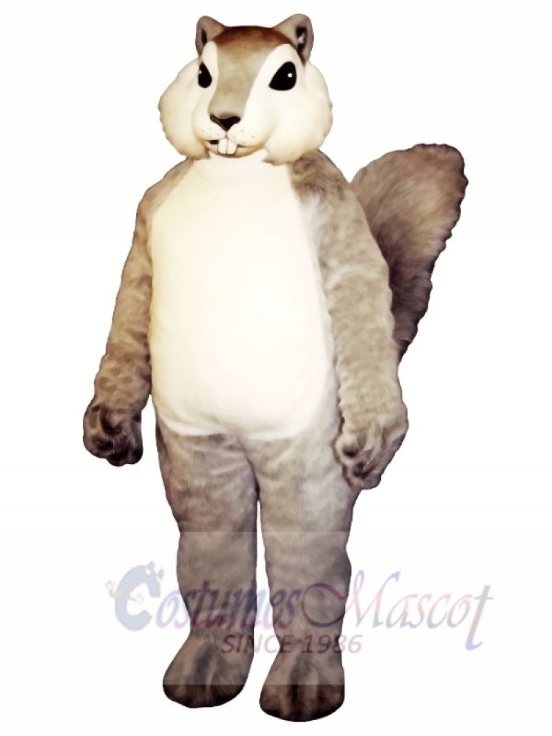 Grey Squirrel Mascot Costume