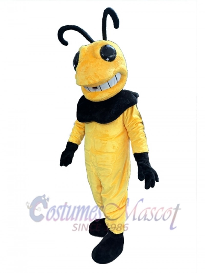 Hornet mascot costume