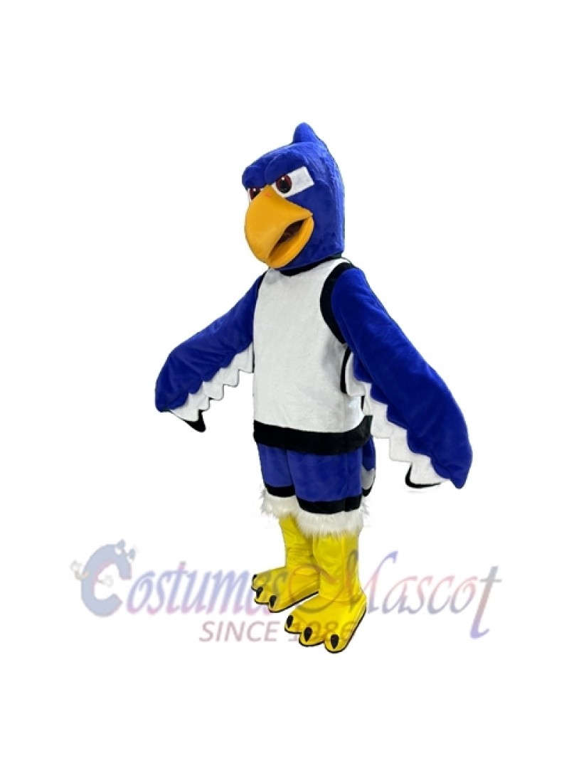 Seahawk mascot costume