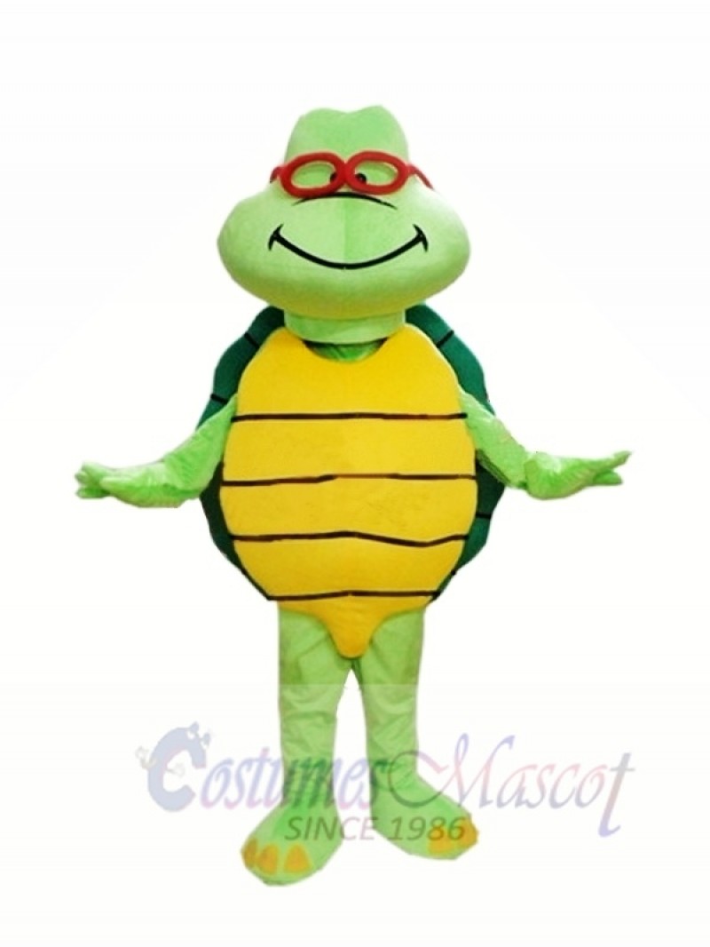 Cheap Green Turtle Custom Mascot Costumes 