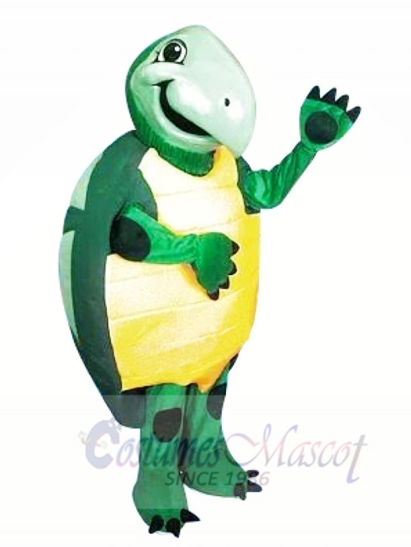 High Quality Turtle Mascot Costumes 