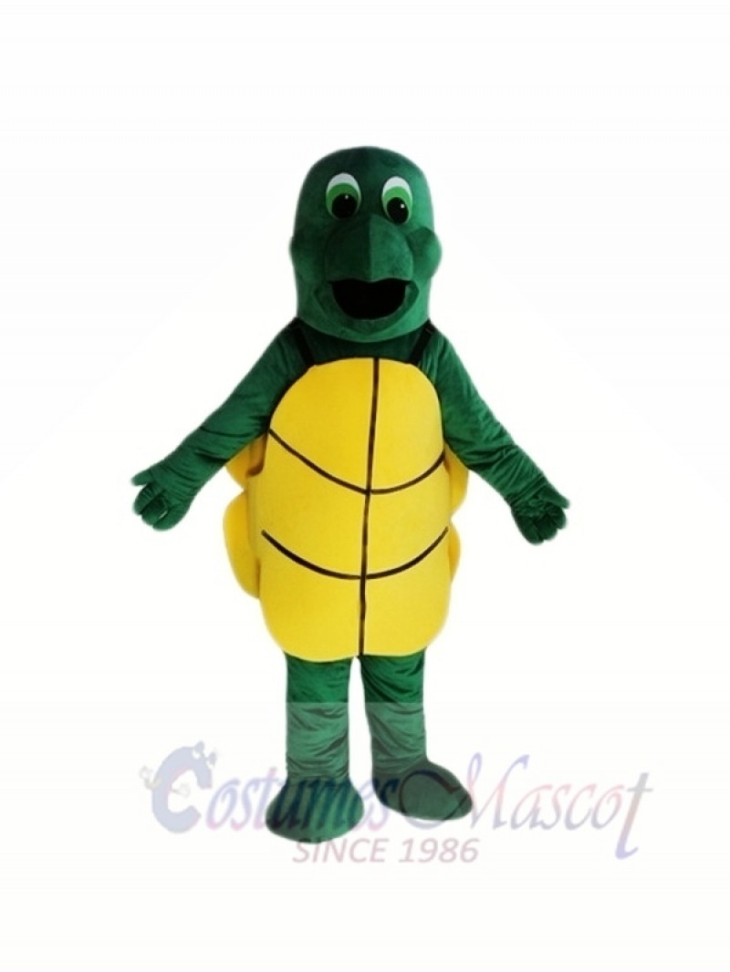 Little Green Tortoise Mascot Costumes 