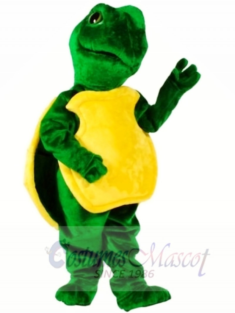 Turtle Mascot Costumes Free Shipping 