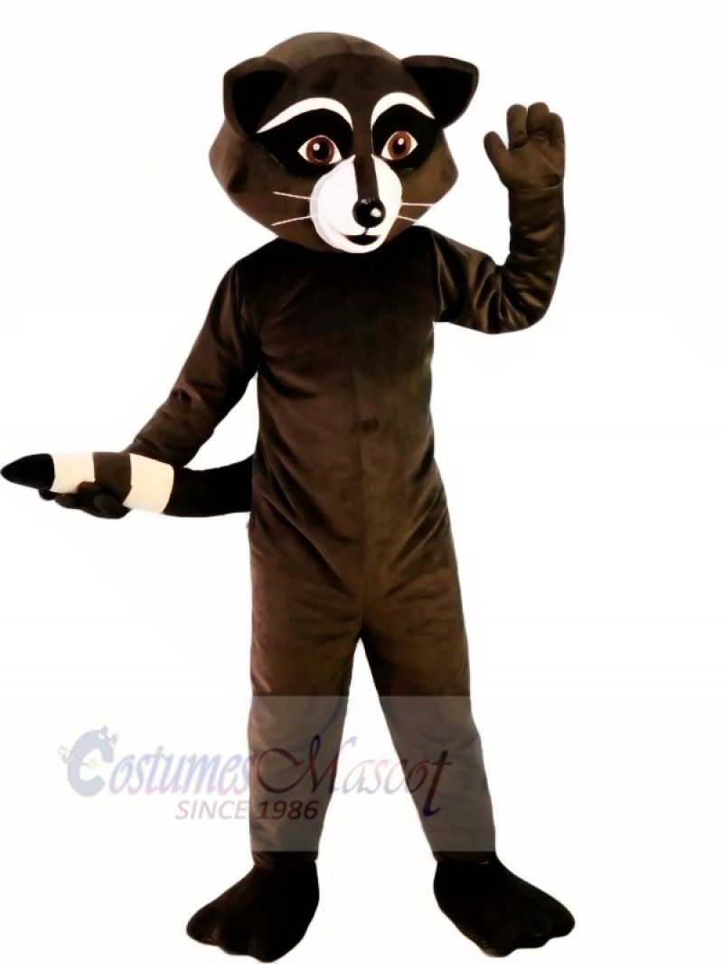 Wild Black Racoon Mascot Costumes Cartoon