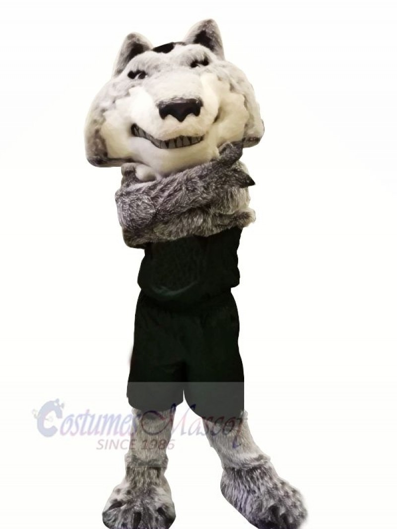 College Sport Wolf Mascot Costumes Cartoon