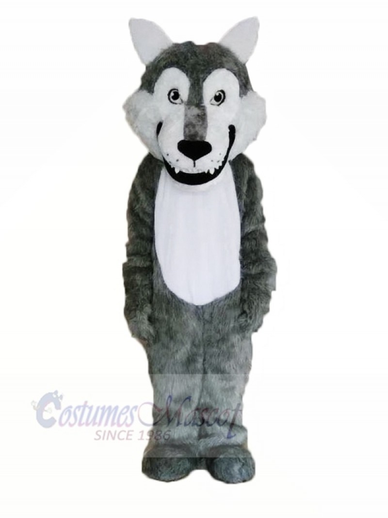 Cute Gray Wolf Mascot Costumes Cartoon