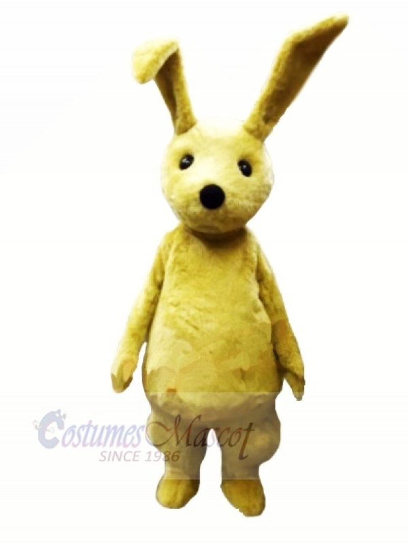 Young Rabbit with Long Ears Mascot Costumes Cartoon