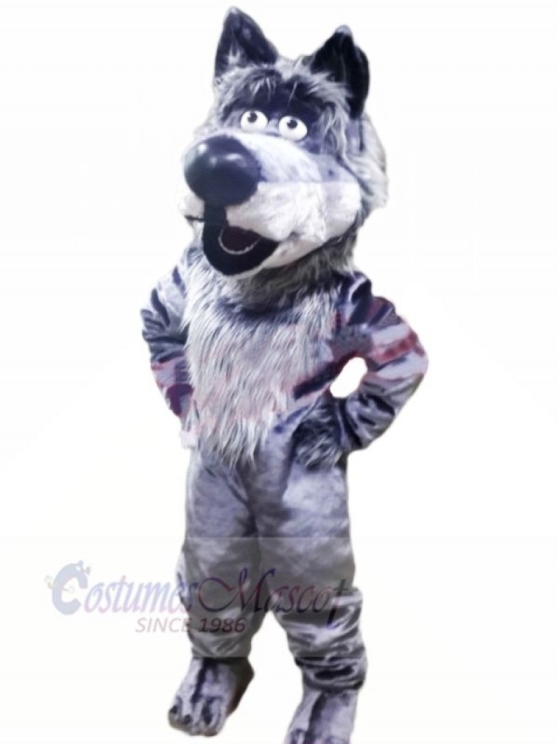 Friendly Wolf Mascot Costumes Cartoon	