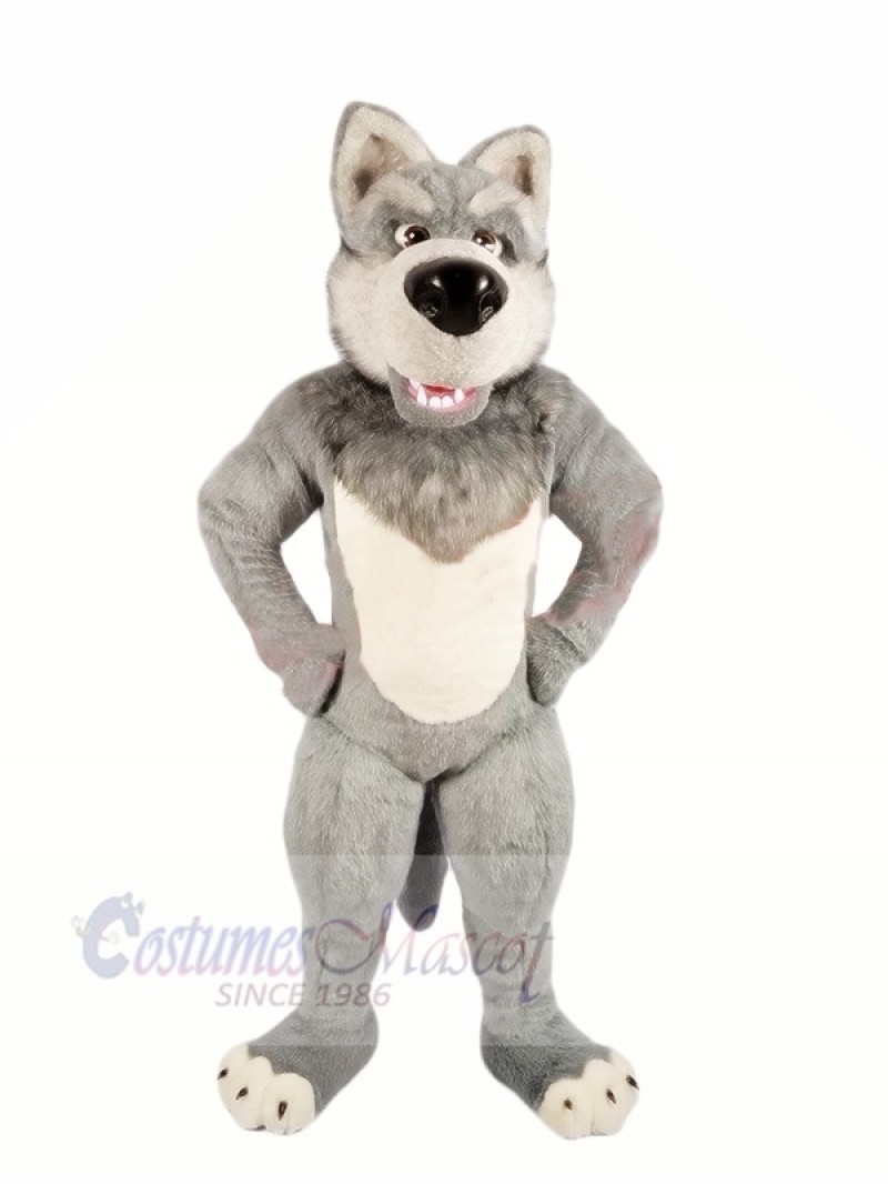 Grey Wolf with Big Nose Mascot Costumes Cartoon	