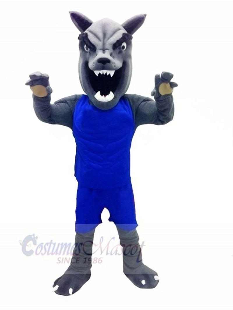 Wolf with Blue Vest Mascot Costumes Cartoon