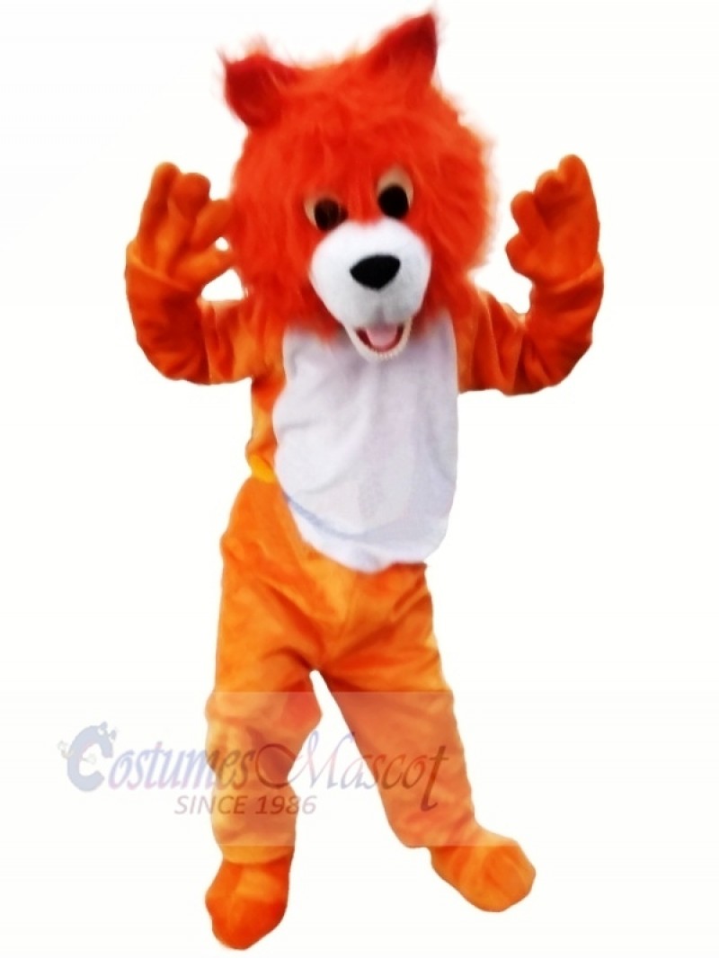 Friendly Orange Wolf Mascot Costumes Cartoon