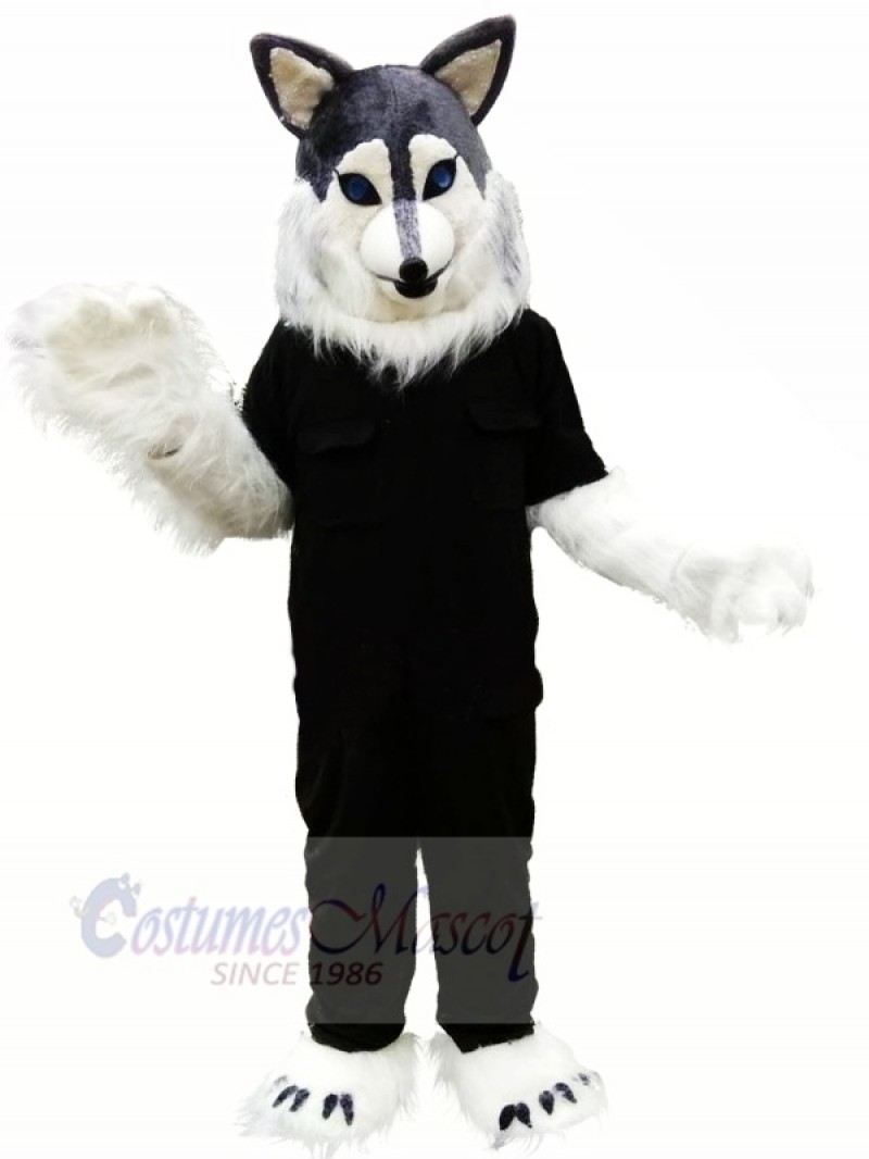 Wolf Husky in Black T-shirt Mascot Costume Animal