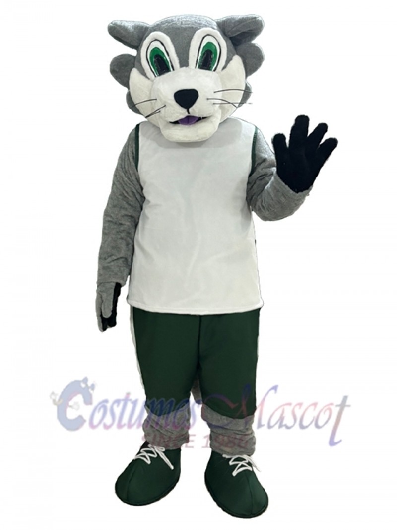 Wolf mascot costume