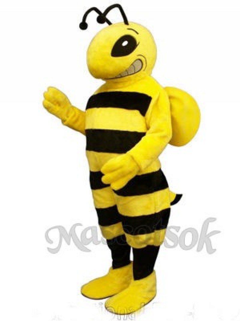 Cartoon Bee Mascot Costume