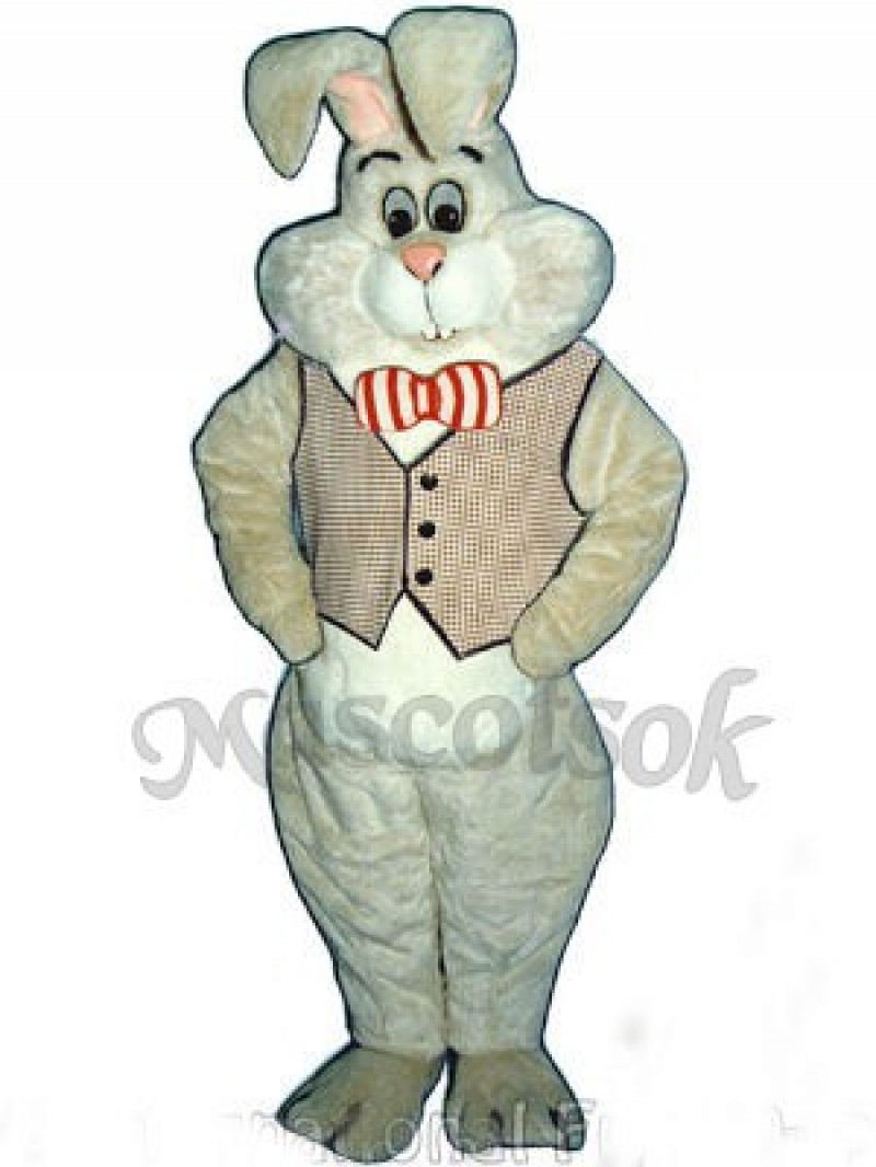 Easter March Hare Bunny Rabbit Mascot Costume