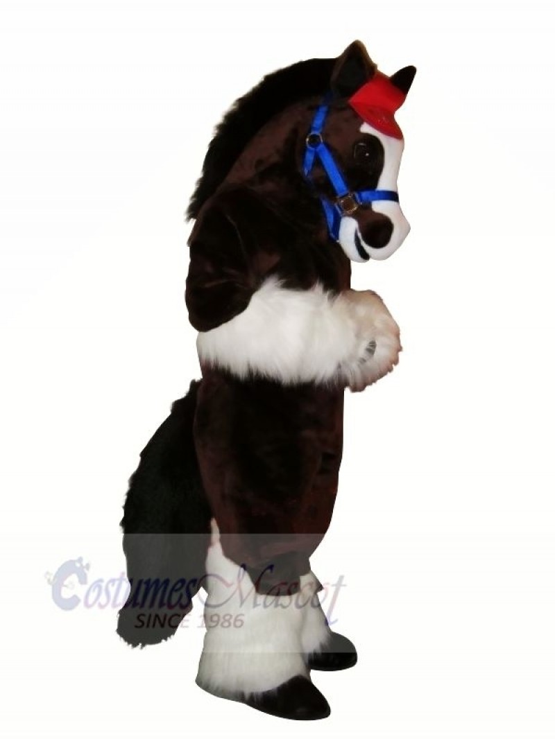 Cute Horse with Long Tail Mascot Costumes Cartoon