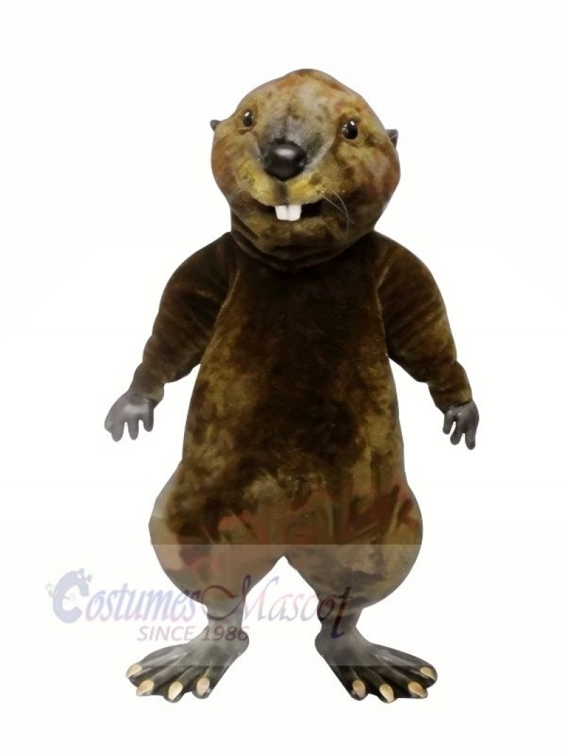 High Quality Otter  Mascot Costumes	