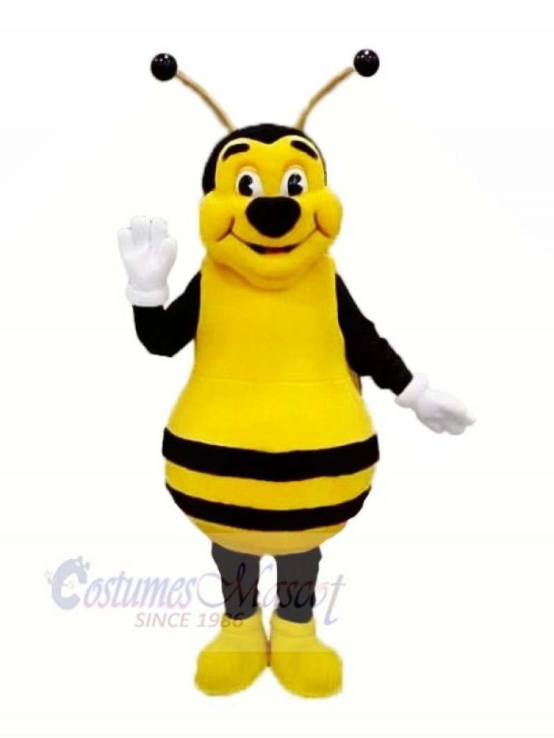 Smiling Bee Mascot Costumes Adult