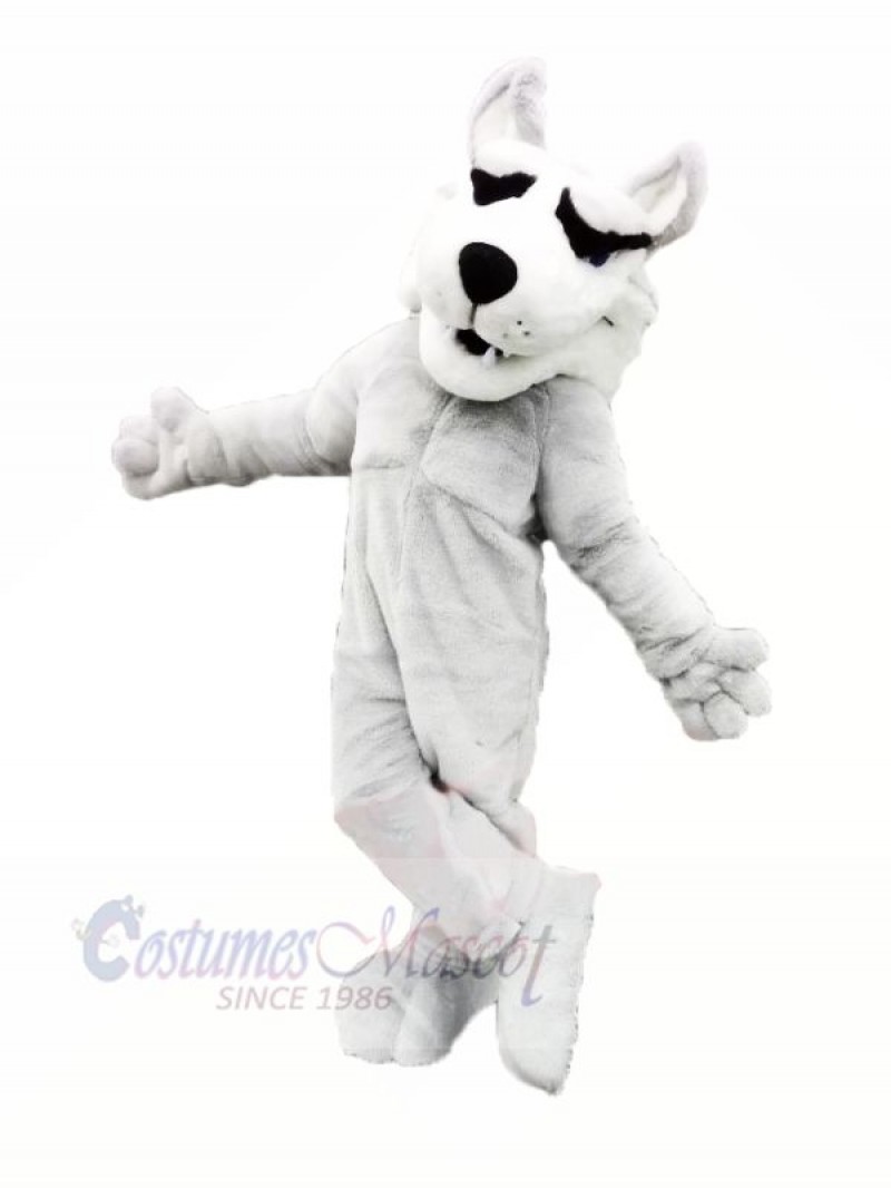 White Husky Mascot Costumes Cartoon