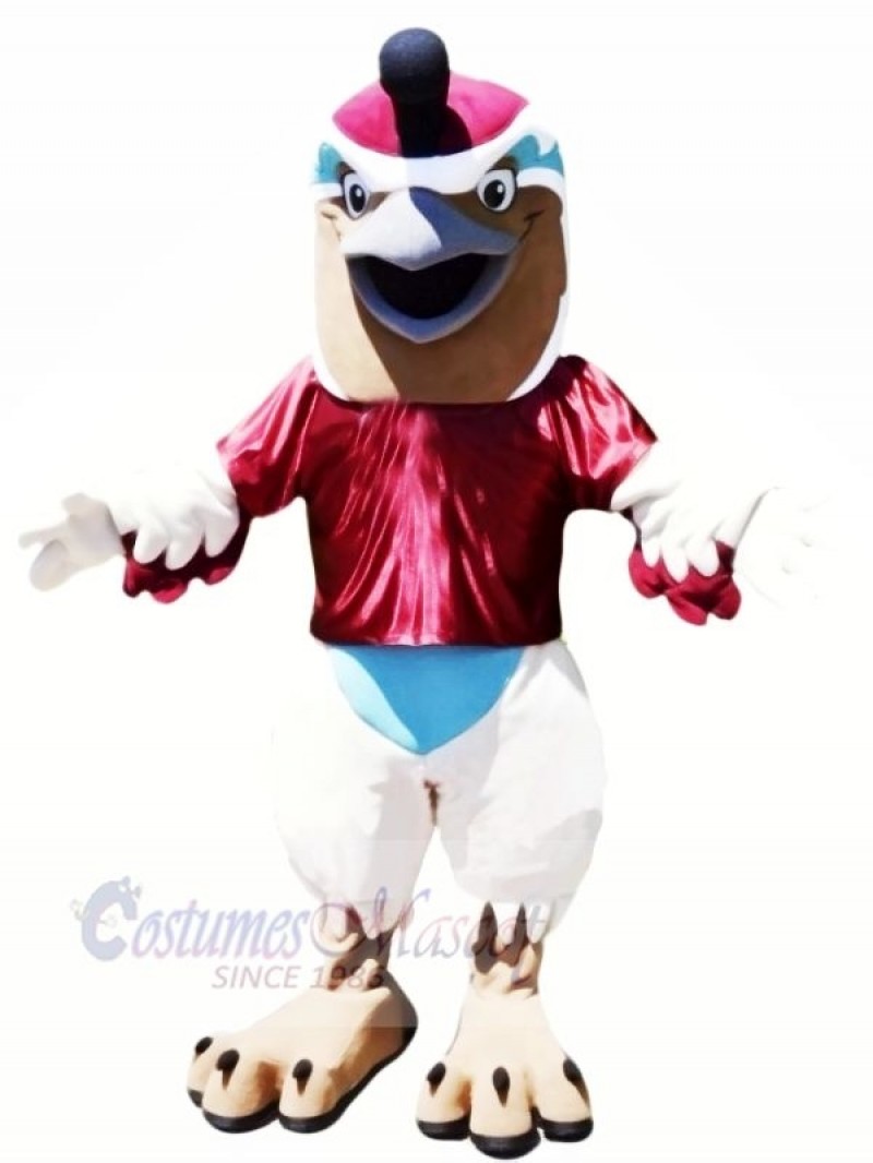 Funny Quail Mascot Costumes Cartoon	
