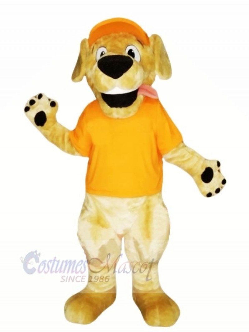 Retriever Dog with Orange T-shirt Mascot Costumes Cartoon	