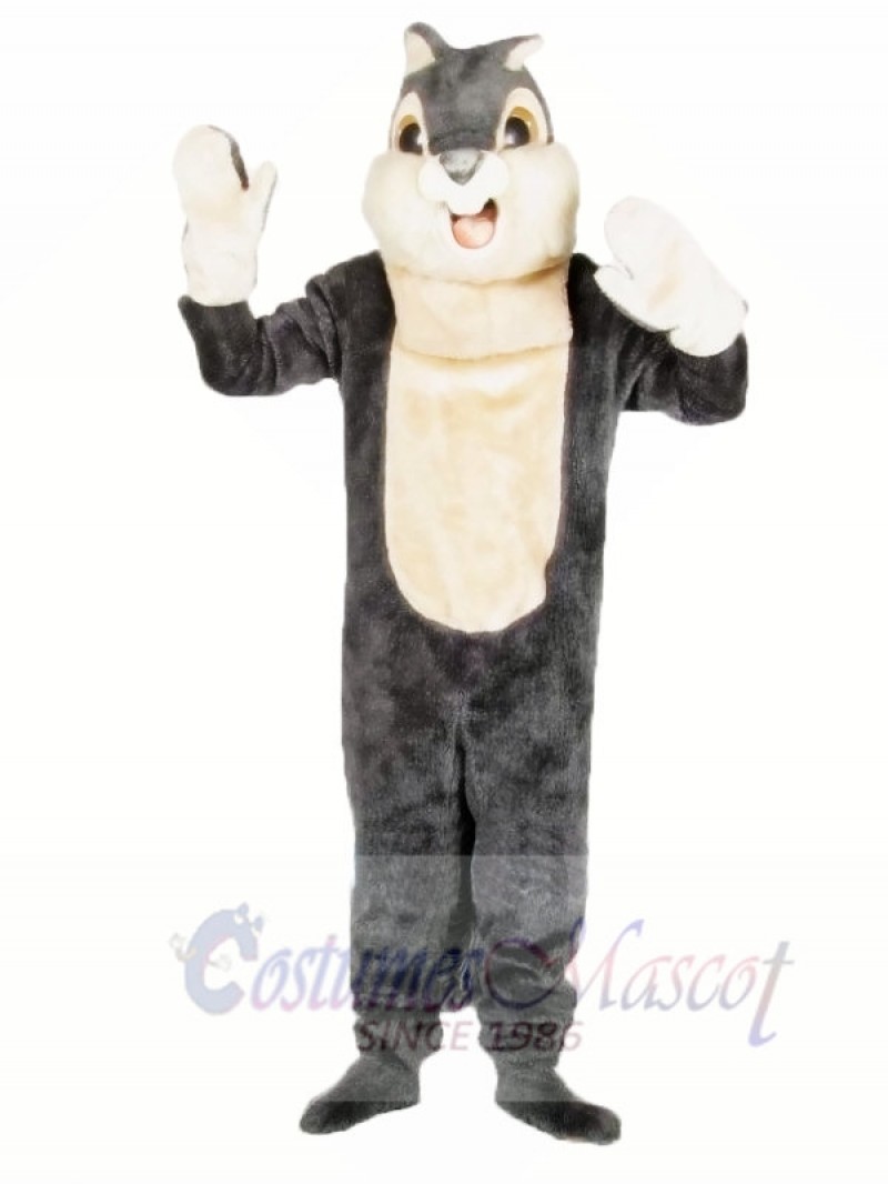 Cute Grey Squirrel Mascot Costumes 